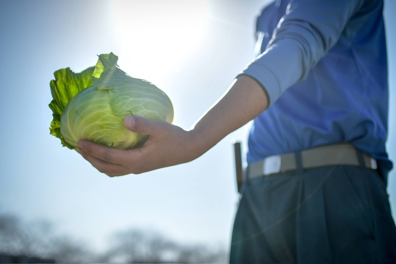 a20-447　【定期便 全2回】ジモベジ 野菜 セット