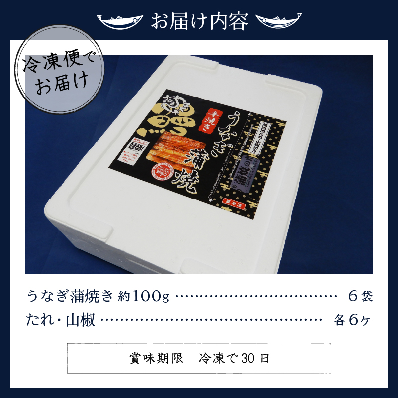 a28-008　国産 うなぎ 蒲焼き 約100g×6袋