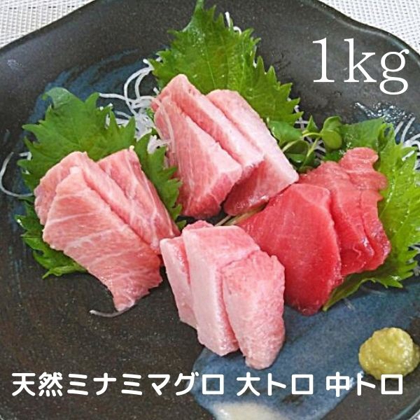 a30-158　天然ミナミマグロ 大トロ 中トロブロック 約1kg