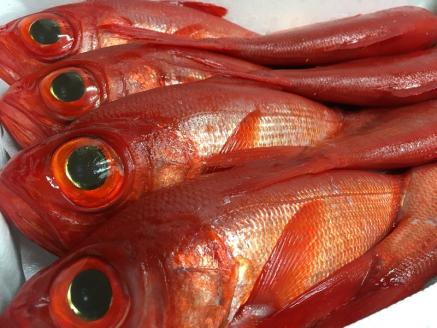 a30-176　【チルドでお届け】朝干しひものセット10種以上！