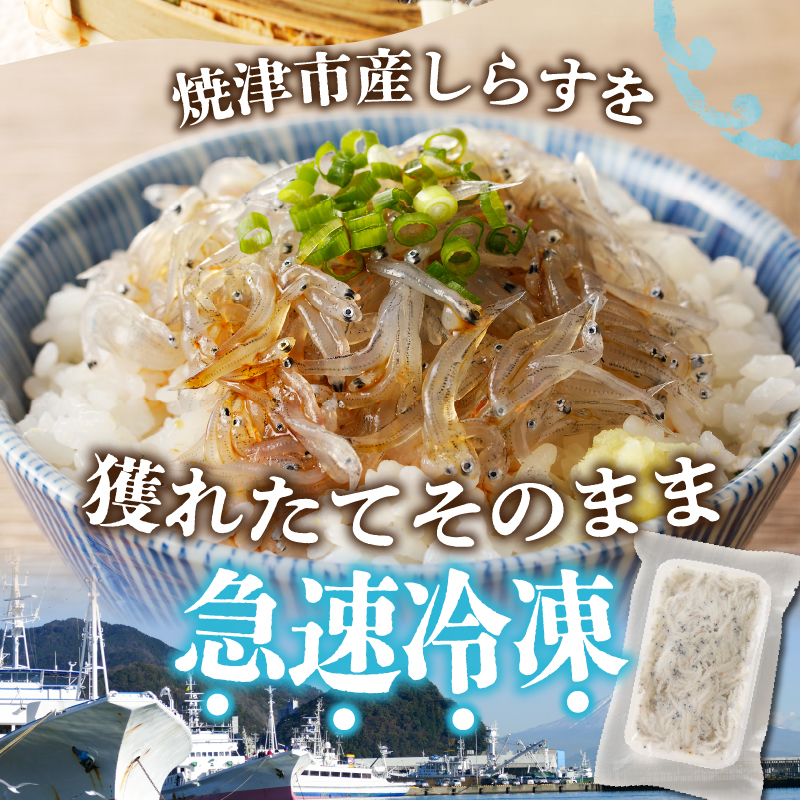 a30-234　【定期便 3 】生しらす100g 6個×3回