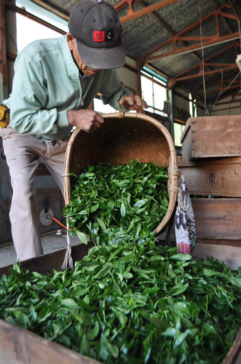 a37-001　玉露名人　前島東平さんの玉露　２本