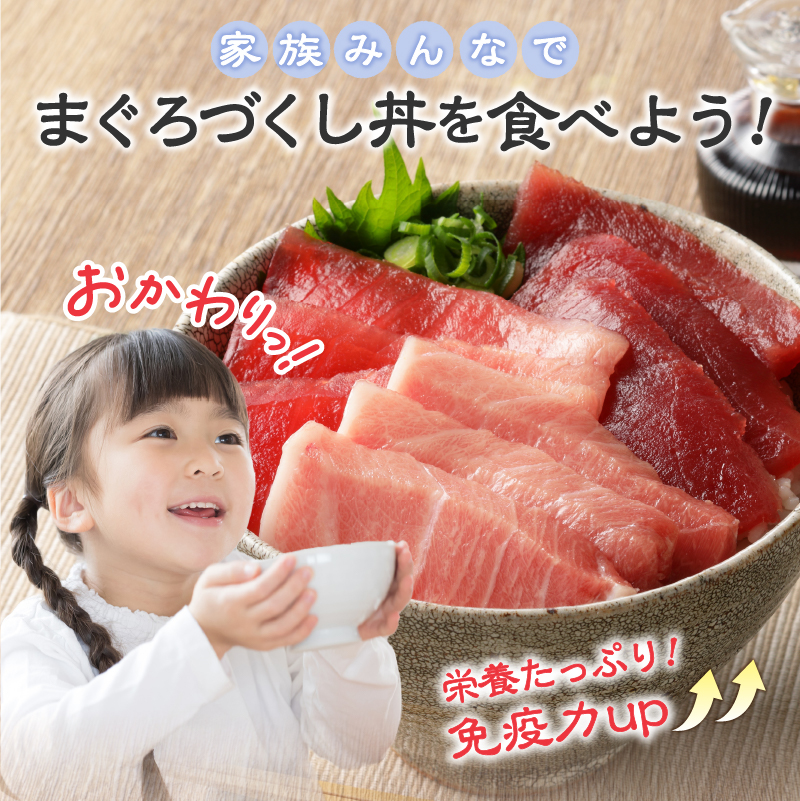 a55-010　マグロ 大トロ 中トロ ねぎとろ 詰合せ セット S9