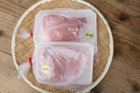 b120-012　【定期便3回】南鮪 中トロ付ブロック 8人前(約800g) ×3回【定期便】