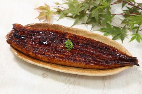 b200-024　年6回隔月お届け！国産深蒸し鰻蒲焼200g以上×4尾