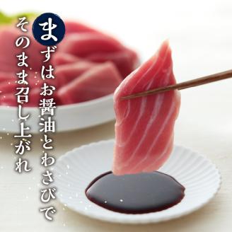 b300-015　定期便 天然本まぐろ 6回お届け