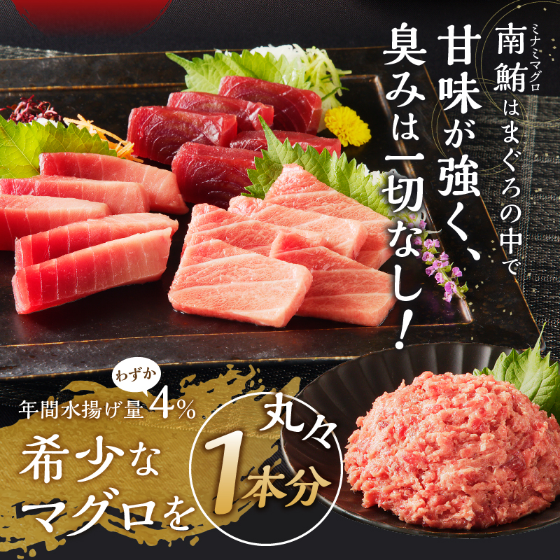 m10-001　【定期便10回】南鮪 1本 総重量約29kg（各月約2.9kg）