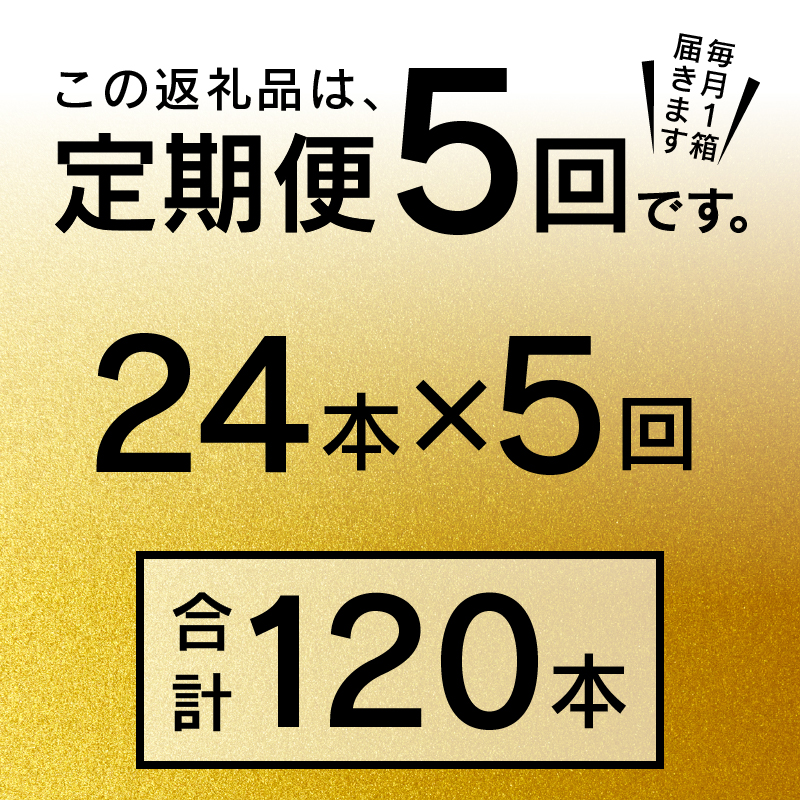 T0085-2205　【定期便5回】エビスビール500ml×1箱(24缶)