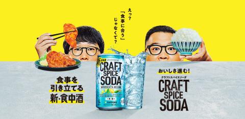 T0078-1707　【定期便7回】サッポロ クラフトスパイスソーダ 500ml×24本