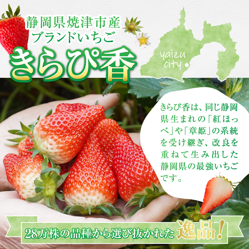 a10-421　いちご 静岡 限定 「 きらぴ香 」約1.1Kg 計4パック
