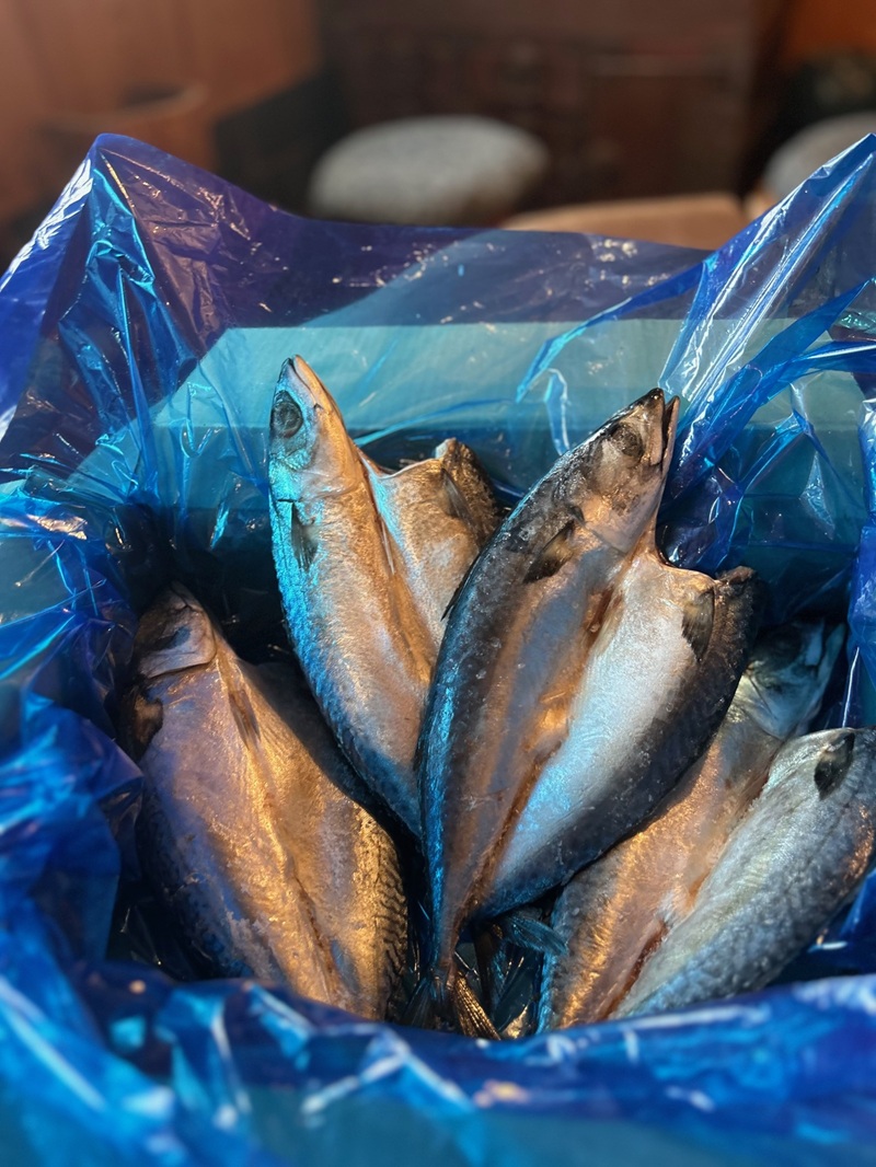 a10-588　「国産塩鯖 」1kg以上 1キロ以上 鯖 塩鯖 塩さば 塩サバ 冷凍 グルメ 添加物不使用