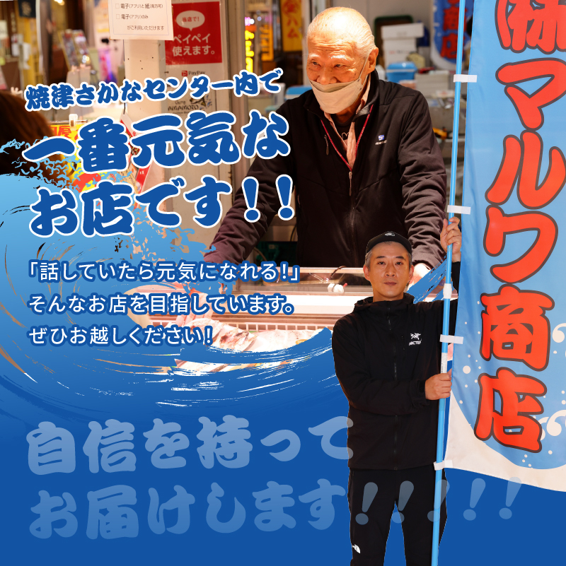 a10-697　ビンチョウ まぐろ ＆ サーモン 漬け 2種盛り 10パック