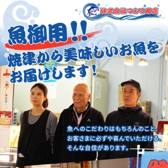 a10-909　焼津港直送！簡単便利！かつおたたき切り落とし100g×10袋