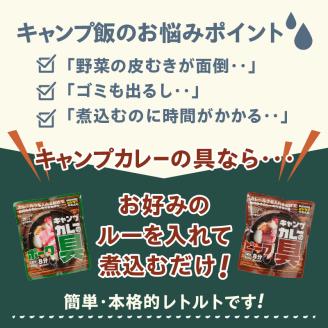 a10-917　キャンプカレーの具 バラエティーセット