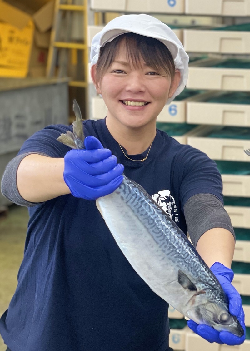 a12-131　さばカレ―6個セット