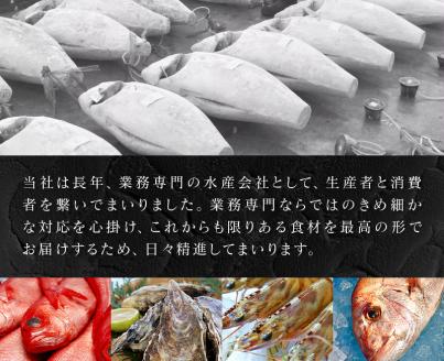 a12-168　キボシ水産 天然 南鮪 100％ 中トロ 切り落とし 400g以上