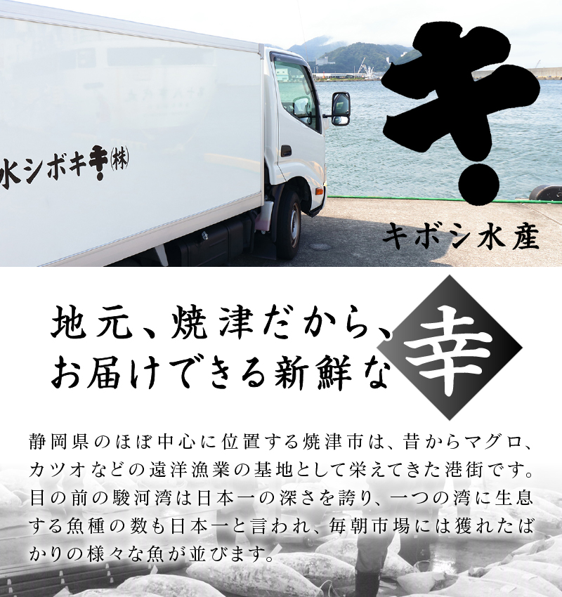 a12-168　キボシ水産 天然 南鮪 100％ 中トロ 切り落とし 400g以上