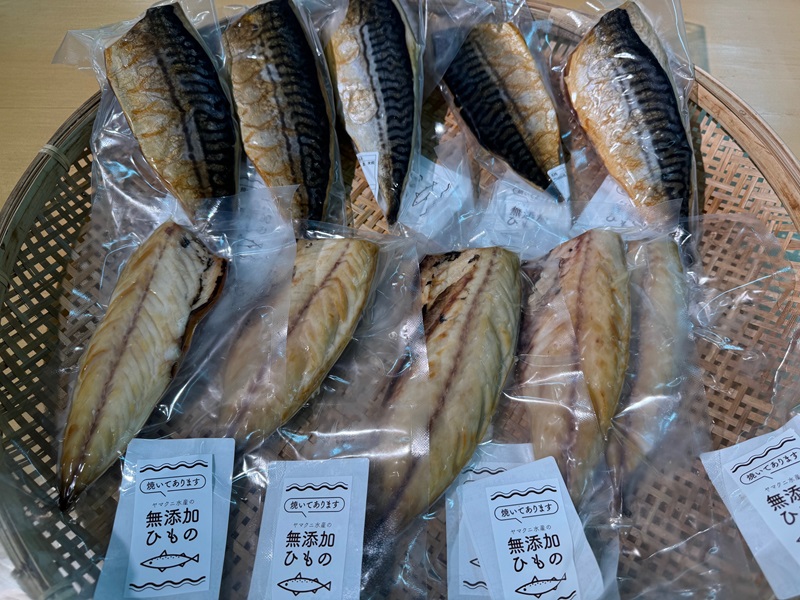 a15-669　【焼津ひもの食堂】焼いてあるとろさばひもの10枚