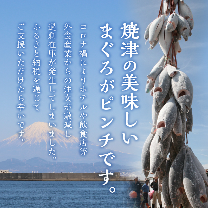 a10-1078　マグロ 赤身 訳あり 刺身 ミナミマグロ 天身 約500g