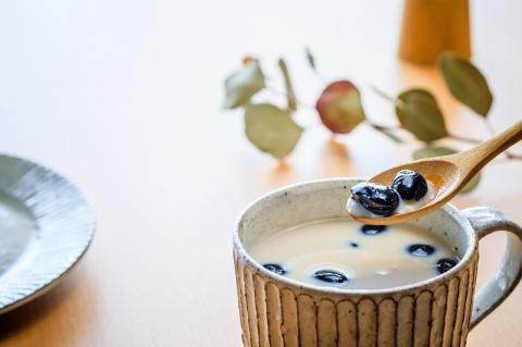 a15-539　FORIVORA 丸ごとラテシリーズ全種類セット 40P