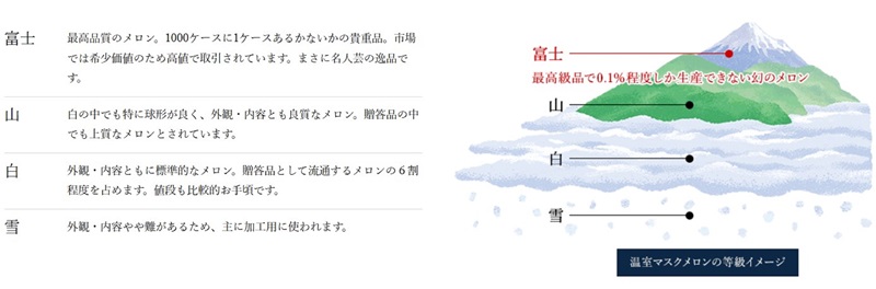 a16-148　メロン 温室 アローマ 果物 ハウス 白等級 1玉 GABA