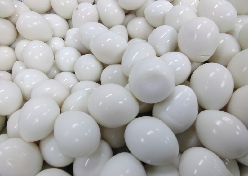 a17-129　トマトおでん（260g） 5パック