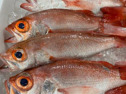 a19-027　のどぐろの入ったひものセット