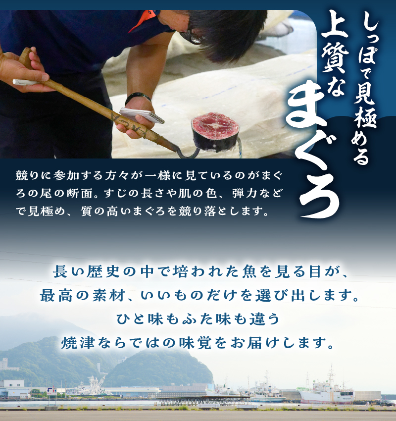 a23-023　焼津港3点セット