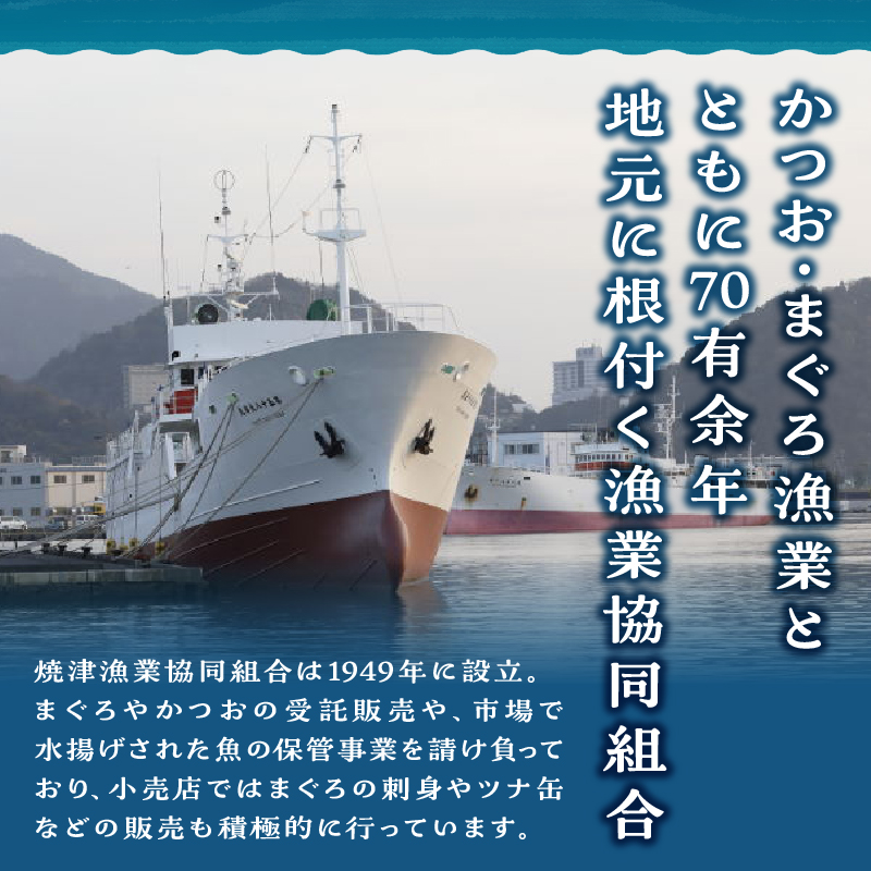 a24-038　焼津ミナミマグロBコース