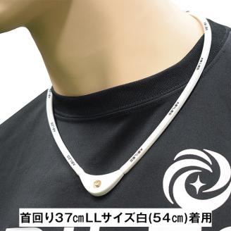 a29-005　ABILES PLUS ネックレス FORCE