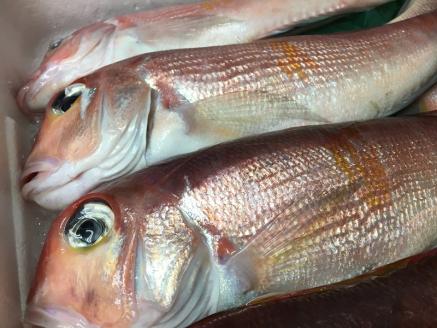 a30-176　【チルドでお届け】朝干しひものセット10種以上！