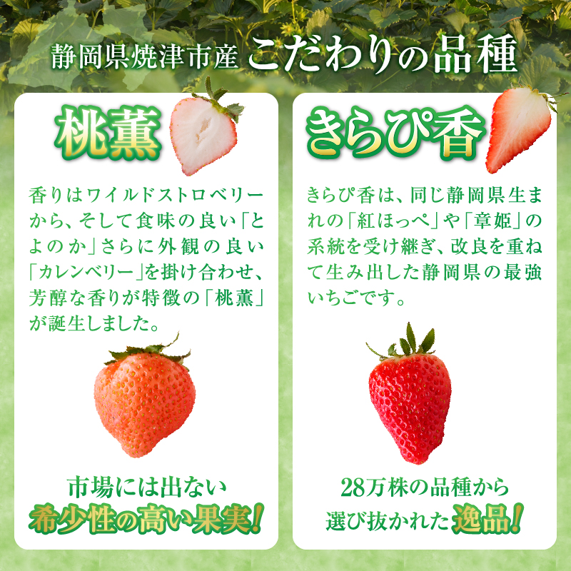 a30-225　いちご「 桃薫・きらぴ香」食べ比べセット 計12パック