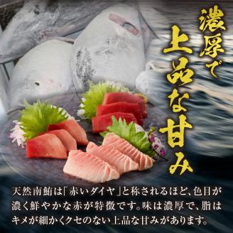 a40-076　『鮪の魚二』天然南鮪大トロ中トロ赤身約800gセット