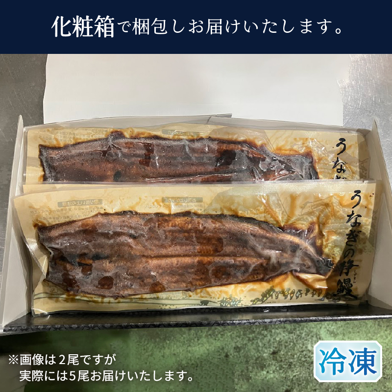 a40-098　【無添加】静岡県産 うなぎ 長焼き 140g 5尾