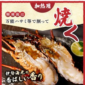 b100-035　伊勢海老 三昧セットC 刺身用＋焼物用