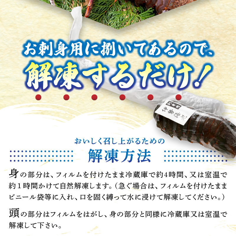 b100-073　伊勢海老 お造りセットC 約1.8kg（お刺身用に加工済）