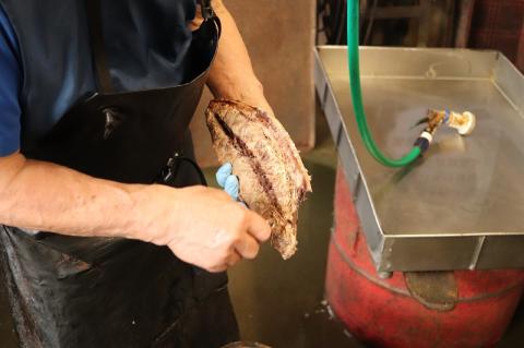 b110-003　【定期便6回】ねこのかつおくん半年分（毎月15パックお届け）【定期便】