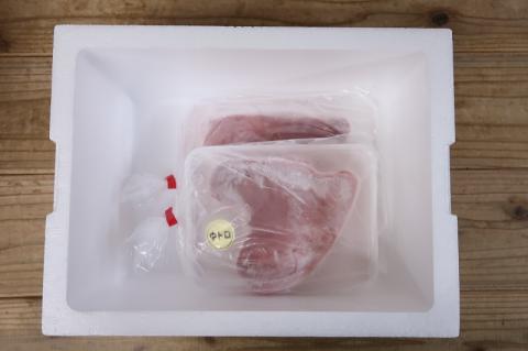 b120-012　【定期便3回】南鮪 中トロ付ブロック 8人前(約800g) ×3回【定期便】