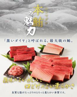 b200-036　【定期便】 天然本まぐろセット 5回届け