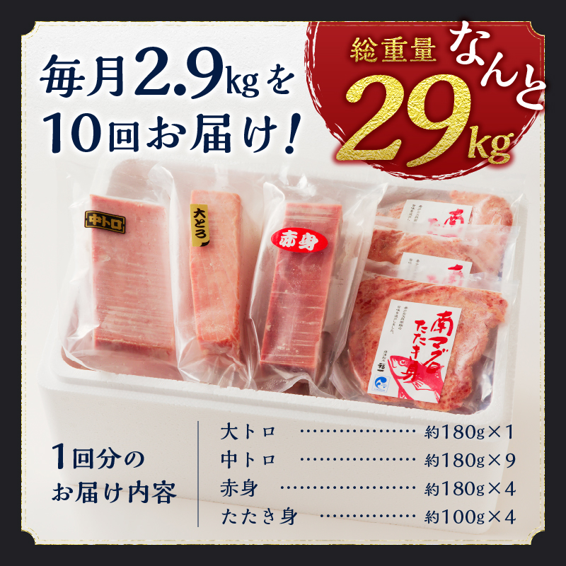 m10-001　【定期便10回】南鮪 1本 総重量約29kg（各月約2.9kg）