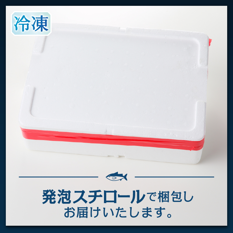 a18-105　本マグロ トロ ブツ 1kg