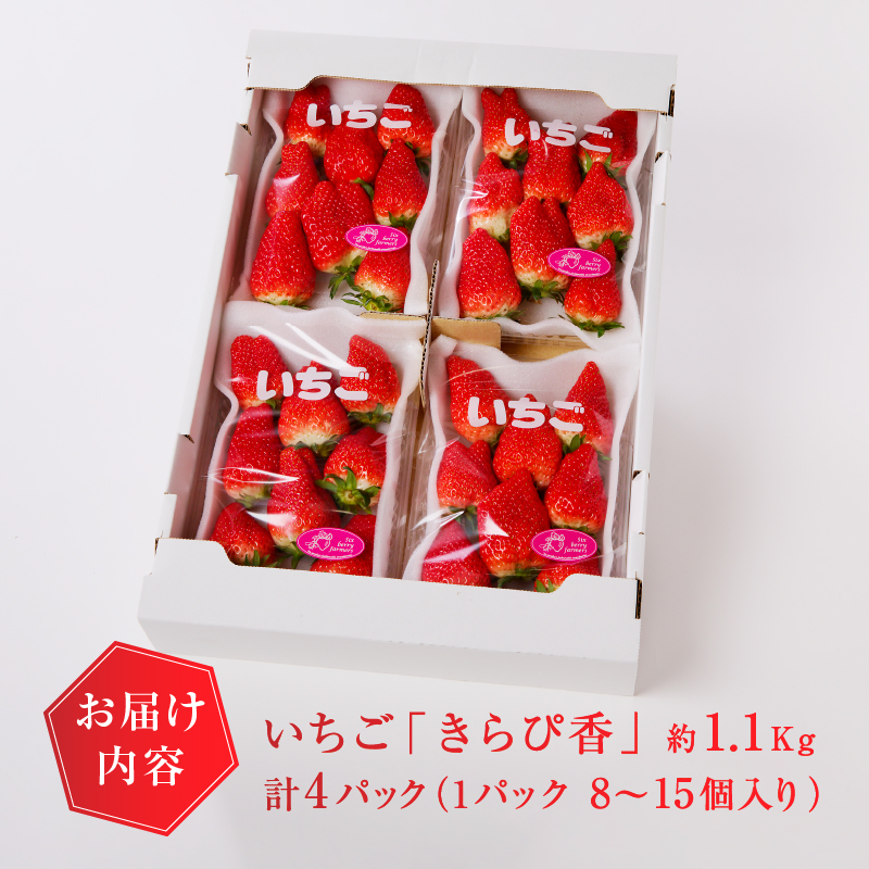 a10-421　いちご 静岡 限定 「 きらぴ香 」約1.1Kg 計4パック