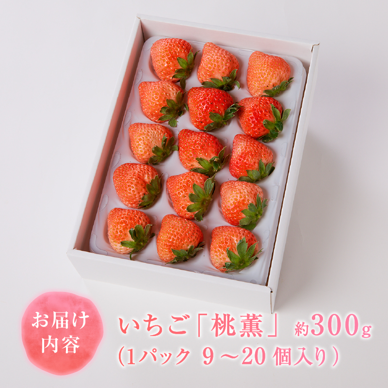 a10-989　いちご 桃薫(とうくん）大粒1パック（約300g）