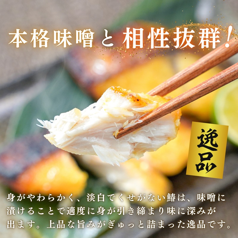 a11-183　さわら西京味噌漬け 約80g×10切れ