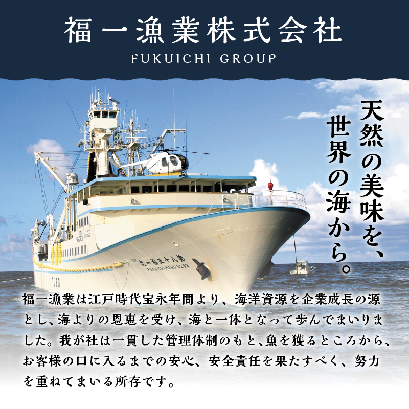 a10-1078　マグロ 赤身 訳あり 刺身 ミナミマグロ 天身 約500g