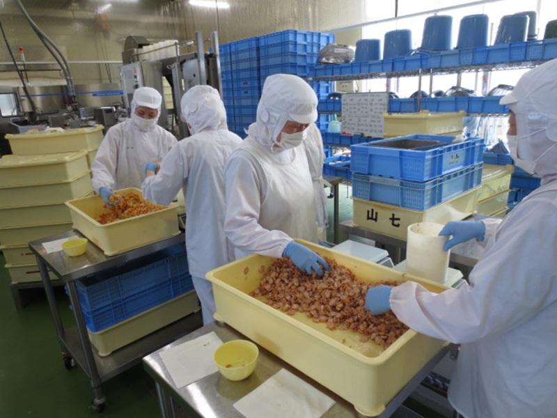 a13-119　冷凍　さばの味噌煮　1切×10袋