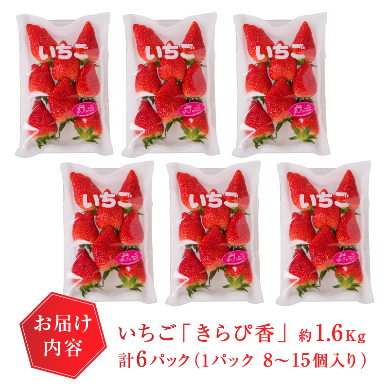 a15-472　いちご静岡限定「きらぴ香」約1.6kg 計6パック