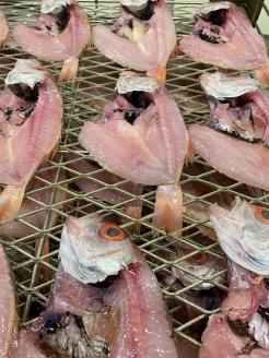 a19-027　のどぐろの入ったひものセット