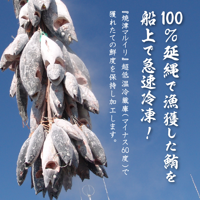 a20-242　総重量約800g！天然南鮪づくし