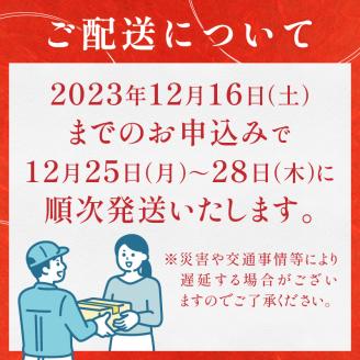 a23-025　お正月 蒲鉾 伊達巻 錦玉子 生わさび 期間限定 セット